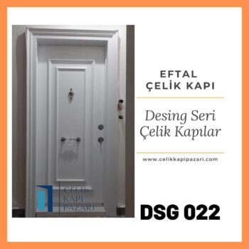 DSG 022